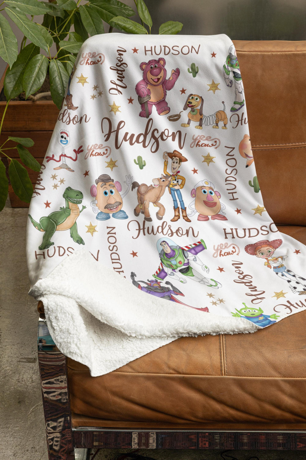 Personalized Toy Story Blanket, Custom Name Minky Flannel Throw