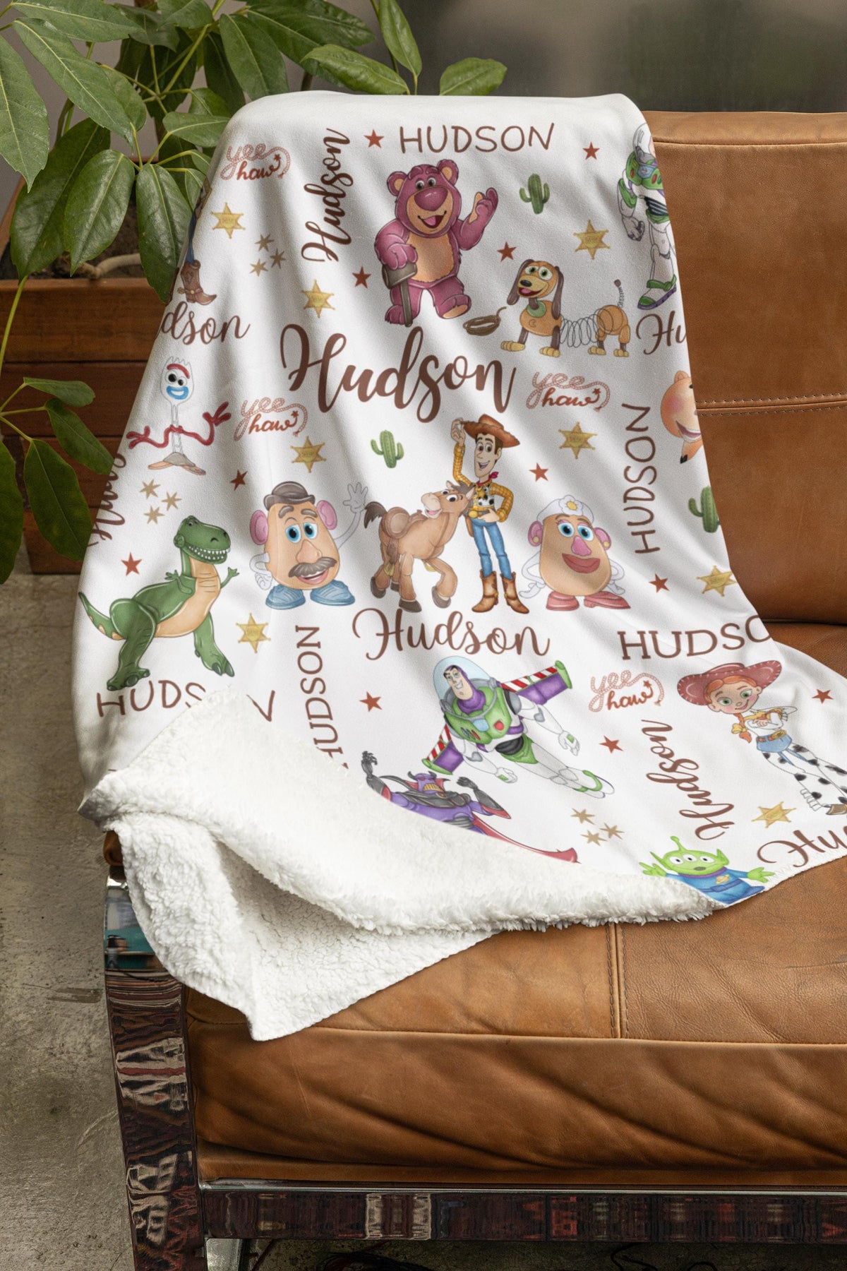 Personalized Toy Story Blanket, Custom Name Minky Flannel Throw